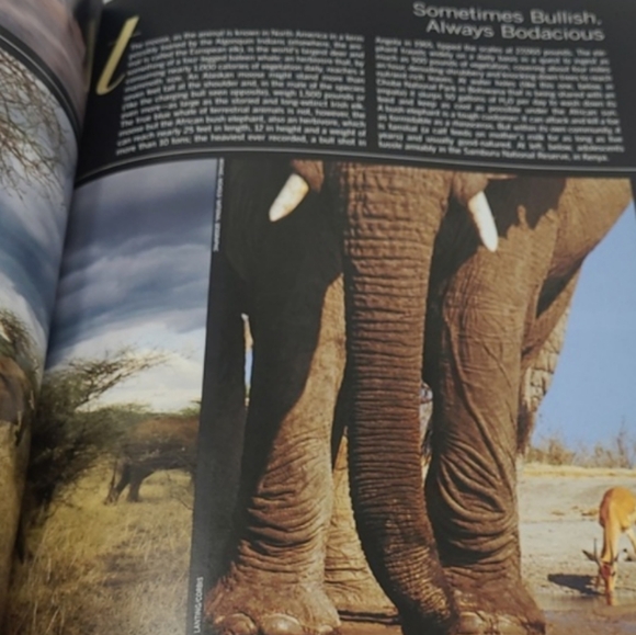 2010 LIFE BOOKS - WONDERS OF LIFE - THE AMAZING WORLD OF NATURE - Picture 14 of 16